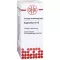 EUPHORBIUM D 12 ředění, 20 ml