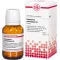 Eupatorium perfe d 4, 200 ks