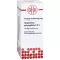 GNAPHALIUM POLYCEPHALUM D3 ředění, 50 ml
