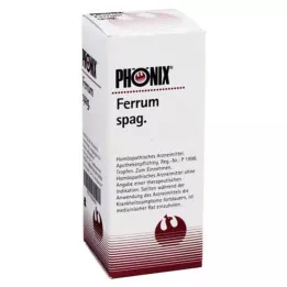 PHÖNIX FERRUM Spag. Míchání, 50 ml