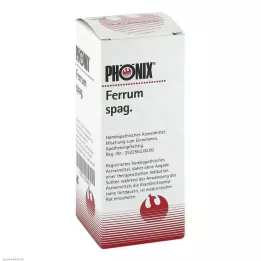 PHÖNIX FERRUM Spag. Míchání, 100 ml