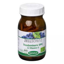 OPC TRAUBENKERN &amp; Vitamin C kapsle, 90 ks