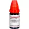 CLEMATIS LM VI Ředění, 10 ml