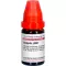 Lm spigelia vi, 10 ml