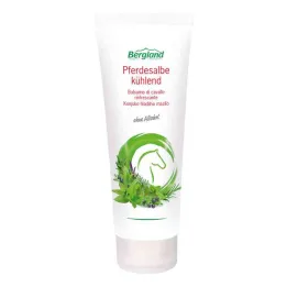 Chladivá koňská mast (100 ml)