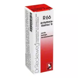ARRHYTHMIE-Směs Gastreu N R66, 22 ml