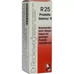 PROSTATA-GASTREU N R25 mix, 22 ml