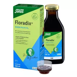 FLORADIX Veganské tonikum Iron plus B12, 250 ml