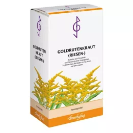 GOLDRUTENKRAUT Obří čaj, 100 g