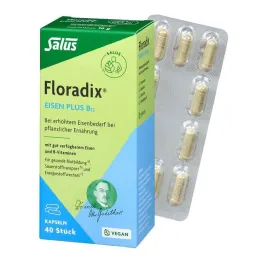 Floradix iron plus B12 veganské kapsle, 40 ks
