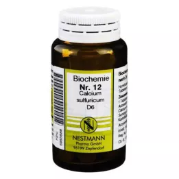 BIOCHEMIE 12 Calcium sulfuricum D 6 tablet, 100 ks