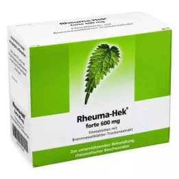 RHEUMA HEK forte 600 mg potahované tablety, 100 ks