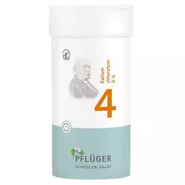 BIOCHEMIE Pflüger 4 Kalium chloratum D 6 tablet, 400 ks
