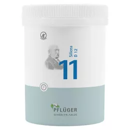 BIOCHEMIE Pflüger 11 Silicea D 12 tablet, 1000 ks