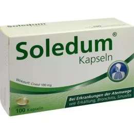 SOLEDUM 100 mg žaludečních rezistentních tobolek, 100 ks