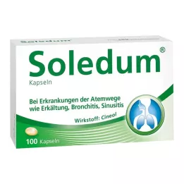 SOLEDUM 100 mg enterosolventní tobolky, 100 ks