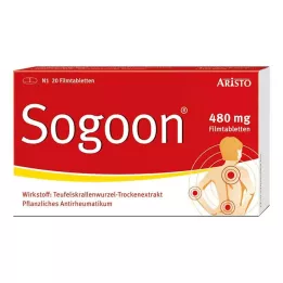 SOGOON 480 mg potahované tablety, 20 ks