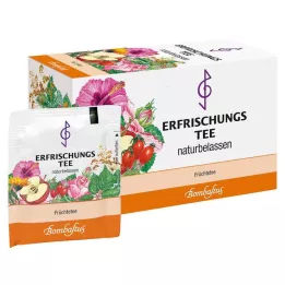 ERFRISCHUNGSTEE Filtrační sáčky, 20X3 g