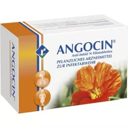 ANGOCIN Anti infekce n tablety potažené filmem, 500 ks