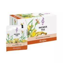 INGWER TEE Filtrační sáčky, 20X2 g