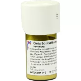 CINIS EQUISETI arvensis d 3 triturace, 20 g