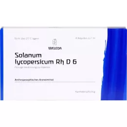 Solanum Lycopersicum RH D6, 8 ks