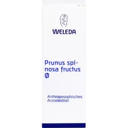 Prunus spinosa fruktus urinktura, 50 ml