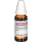 ARUNDO mauritanica D 12 ředění, 20 ml