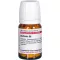 Berberis D 8, 80 ks