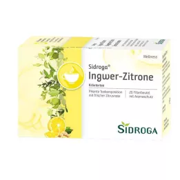 SIDROGA Wellness Zázvorovo-citrónové filtrační sáčky na čaj, 20X2,0 g