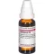 HELLEBORUS D 8 Ředění, 20 ml