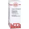 PHELLANDRIUM AQUATICUM D2 Ředění, 20 ml
