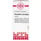PHOSPHORUS AMORPHUS d 10 tablet, 80 ks