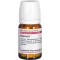Rumex D 1, 80 ks