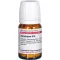 SymphyTum D10, 80 ks