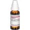 ZINGIBER Mateřská tinktura, 20 ml