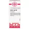CASTOR equi D 6 Globuli, 10 g