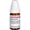 CASTOR equi D 6 Globuli, 10 g
