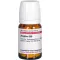 ZINGIBER d 30 tablet, 80 ks