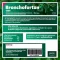 BRONCHOFORTON Mast, 40 g