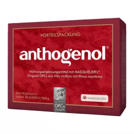 OPC ORIGINAL Masqueliers Anthogenol kapsle, 90 ks
