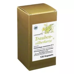 TRAUBENSILBERKERZE Kapselln, 120 ks