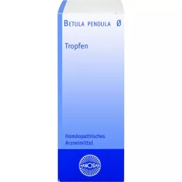 BETULA PENDULA Mateřská tinktura Hanosan, 20 ml