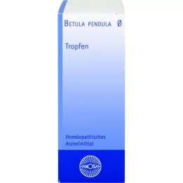 BETULA PENDULA Mateřská tinktura Hanosan, 50 ml