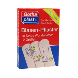 GOTHAPLAST Sádra kožního močového měchýře, 10 hodin