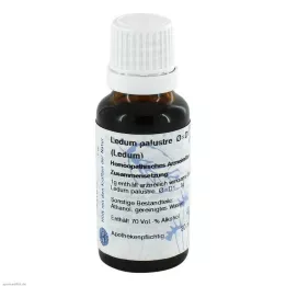 LEDUM urbuture d 1 hanosan, 20 ml