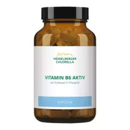 VITAMIN KAPSLE B6, 120 ks