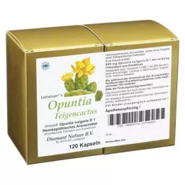 OPUNTIA FEIGENCACTUS Kapselln, 120 ks