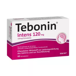 TEBONIN intens 120 mg potahované tablety, 60 ks