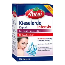 ABTEI Křemičité kapsle, 210 ks